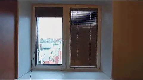 Горизонтальные жалюзи Coulisse 25 мм , дерево, с боковой фиксацией  SVIL