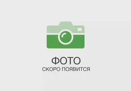 Шайба 20.65Г.019 ГОСТ 6402-70 391363